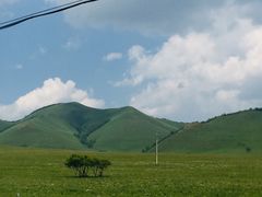 -乌兰布统草原