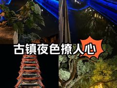 -安亭老街