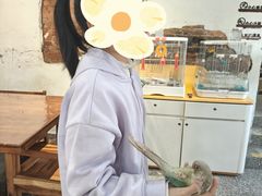 -深圳鸟咖鹦花岛
