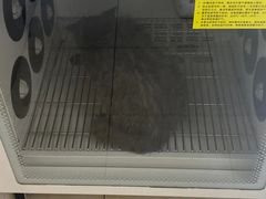 -美联众合爱康动物医院•复杂内科•肿瘤科•牙科•腔镜诊疗中心