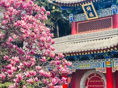 -西安市广仁寺