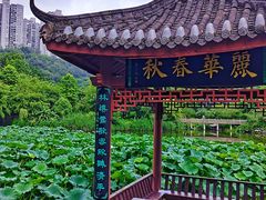 -龙头寺公园
