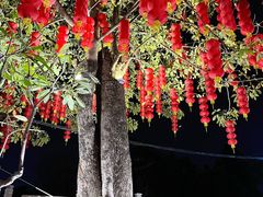 -德云居