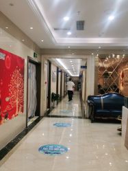 -碧莲盛·不剃发植发