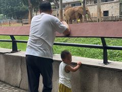 -石家庄市动物园