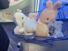 -PAWTOY爪e玩偶店(天兴罗斯福店)