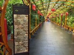 -东方华地城湿地温泉度假区