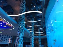 -瑞德姆美人鱼海底演艺主题餐厅(亚龙湾店)