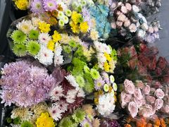 -溪岸路花鸟市场