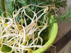 -马帮菜馆·美味野生菌