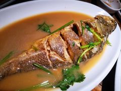 -前海沿·青岛菜(大拇指广场石老人店)