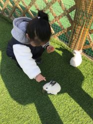 -萌宠亲子动物乐园(槐房万达店)