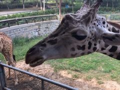 -石家庄市动物园