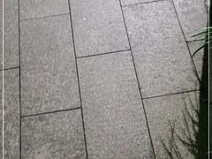 -蜀大侠火锅(四川北路店)