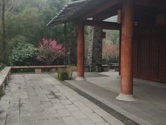 -黄公望隐居地