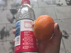 -护国法轮寺