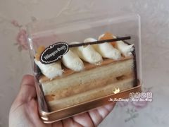 -哈根达斯(石家庄北国店)
