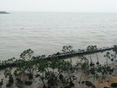 -万绿园