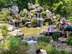 -东莞植物园