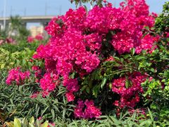 -清水湾3号(东方小周海鲜店)