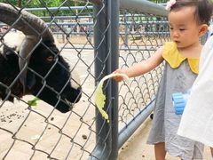 -长白岛森林公园