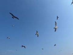 -星海广场