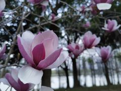 -苏州上方山国家森林公园