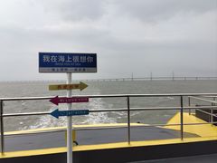 -港珠澳大桥(珠海段)