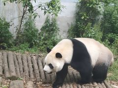 -黔灵山公园