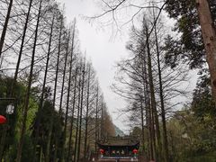 -青城山