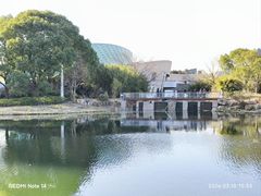-新江湾城公园