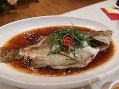 -贴阁碧(百丈东路店)