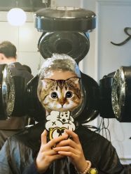 -Tipo Hair salon（明星）店