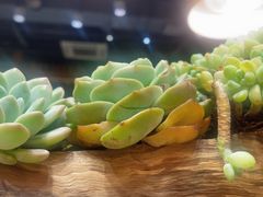 -素虎料理(前门店)