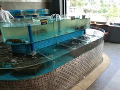 水产区-蓝珊甄选海鲜自助·火锅大排档(近阿那亚店)