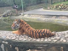 -栾川竹海野生动物园