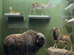 -国家自然博物馆