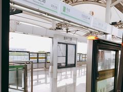 -浦东1号2号航站楼(地铁站)
