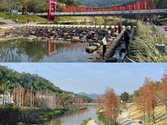 -梧桐山风景名胜区