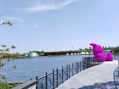 -上海都市菜园