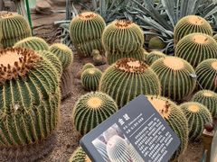 -北京植物园-展览温室