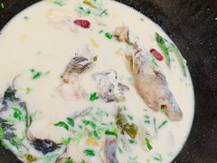 -鲜潭蒸汽石锅鱼(五道口购物中心店)