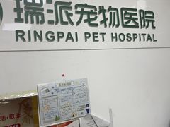 -瑞派天宁宠物医院·猫科·异宠中心