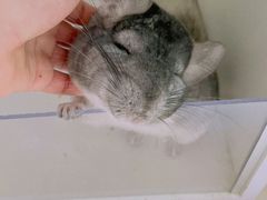 -龙猫仔乐园(惠福东路店)