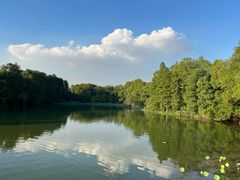 -东湖落雁景区