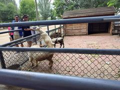 景点-长白岛森林公园