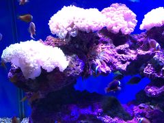 -上海海昌海洋公园