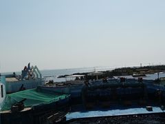 -海合安青岛极地海洋公园