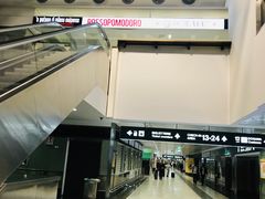 -米兰马尔彭萨国际机场