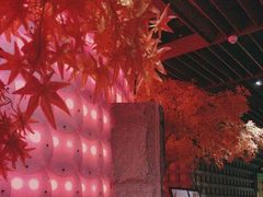 -东吴水韵(吴中店)